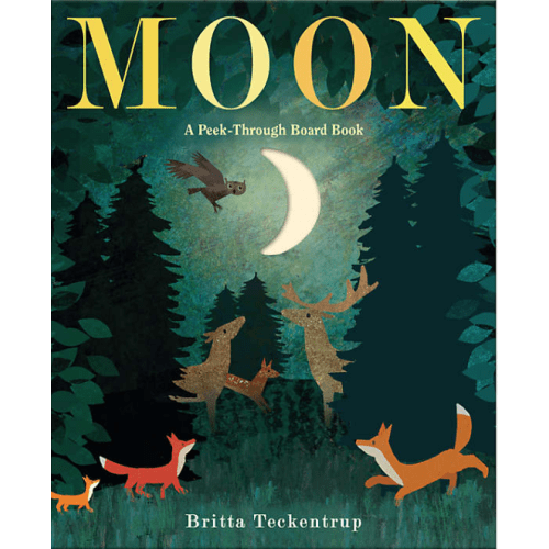 Moon: A Peek-Through Kids Board Book by Britta Teckentrup