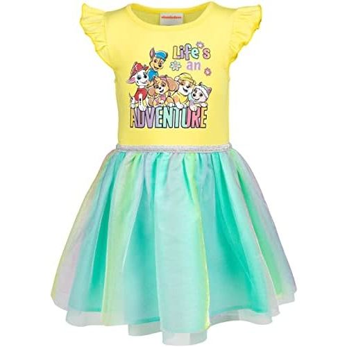Paw Patrol Everest Rubble Marshall Chase Skye Girls Dress Toddler to Big Kid