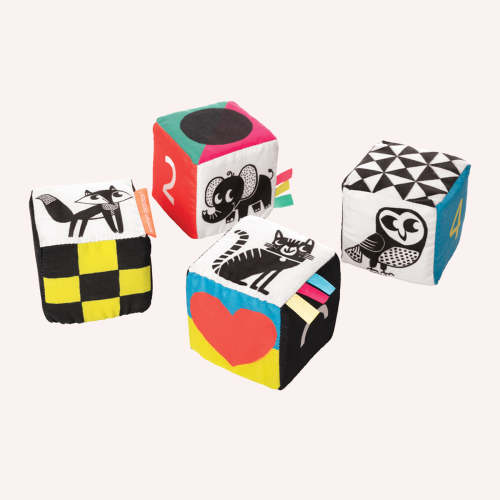 Wimmer Ferguson Mind Cubes