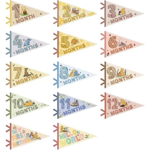 14Pcs Winnie Baby Felt Pennant Milestone Signs, Monthly Milestone Flag，The Pooh Bear Baby Shower Stuff for Baby Girl Boy，Newborn Photo Prop，Pregnant Gifts（Pooh）