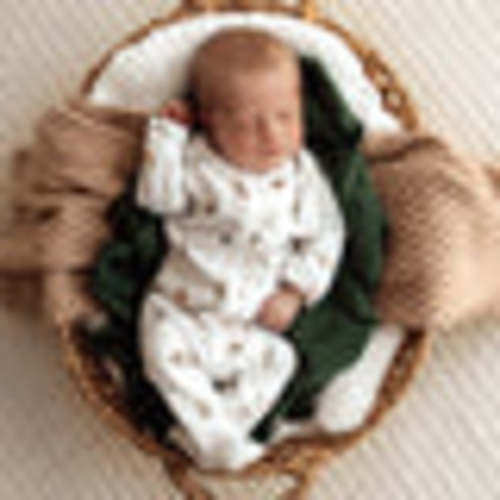 Garden Friends Organic Baby Snuggle Sleepsuit Footie | Snuggle Hunny
