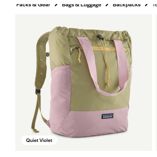 Patagonia Terravia Tote Bag Backpack 24L