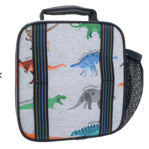 Mackenzie Finn Dino Lunch Boxes
