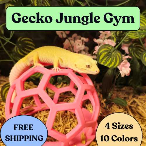 Leopard Gecko Jungle Gym: Climbing Enrichment for Reptile Terrarium
