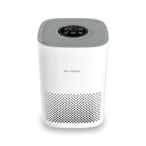 Air Purifier for Home - H13 True HEPA Filter for Home Pets Hair, Remove 99.97% Smoke Pollen Dander Dust, Portable Air Cleaner with 22dB Quiet Sleep Mode for Bedroom Small Place, White