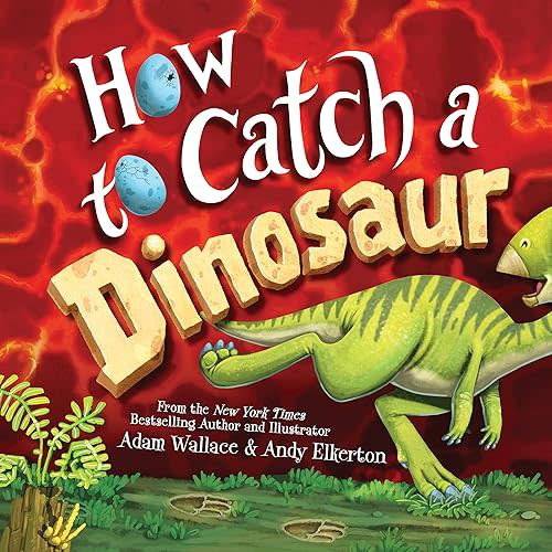 How to Catch a Dinosaur Hardcover