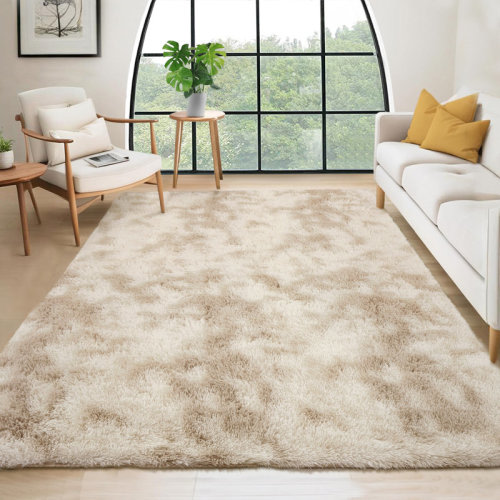 Mercer41 Shag Area Rugs Tie-Dyed Plush Fuzzy Rugs for Living Room, Ultra Soft Fluffy Furry Rugs for Bedroom, Indoor Carpet Nursery Rugs for Kids Room Home Decor | Wayfair