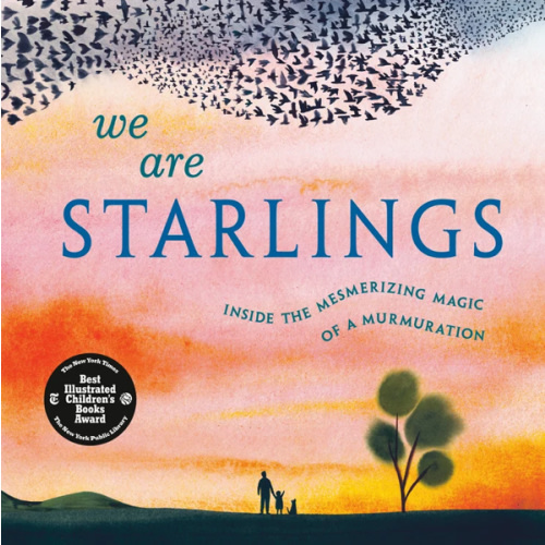 We Are Starlings a book by Robert Furrow, Donna Jo Napoli, and Marc Martin - Bookshop.org US