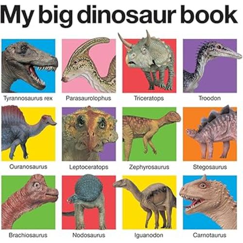My Big Dinosaur Book (My Big Board Books)