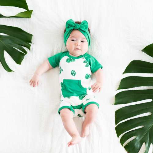 Shortall in Monstera