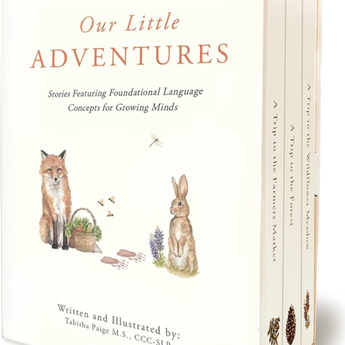 Our Little Adventures: Stories Featuring Foundational Language Concepts for Growing Minds (Tabitha Paige Children's Book Series)