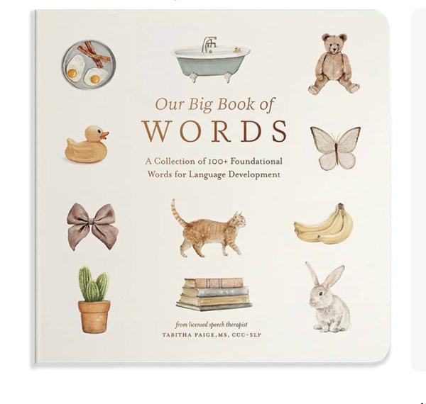 Our Big Book of First Words: A Collection of 100+ Foundational Words for Language Development (Tabitha Paige Children's Book Series)
