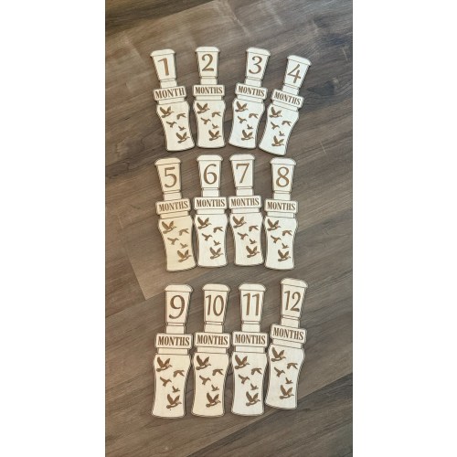 Baby Monthly Milestones Duck Call