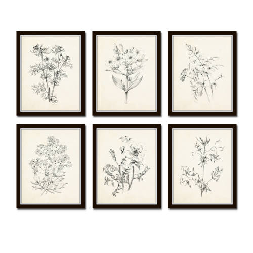 Vintage Botanical Sketch Prints Set No. 1, Botanical Prints, Giclee, Art Print, Vintage Botanical Art, Flower Art, Flower Sketch Art Prints