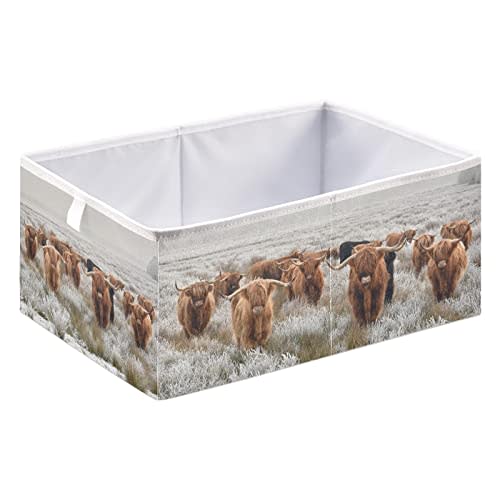linqin Scottish Highland Cow Print Rectangle Storage Basket, Foldable Open Storage Bins Baby Nursery Toy Organizing with Handles for Shelves Closet Home Decor