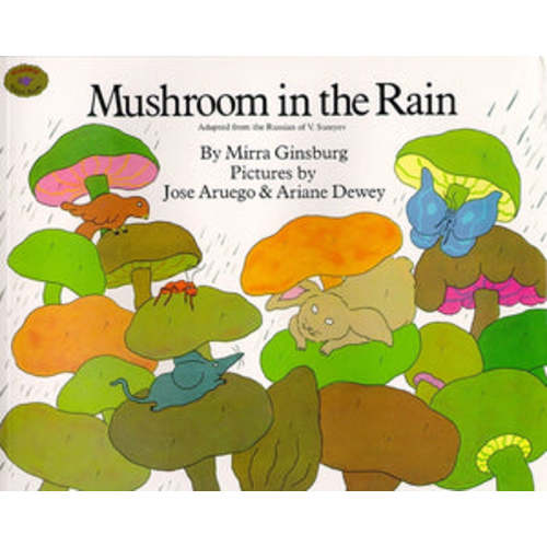 Mushroom in the Rain – Curiosity