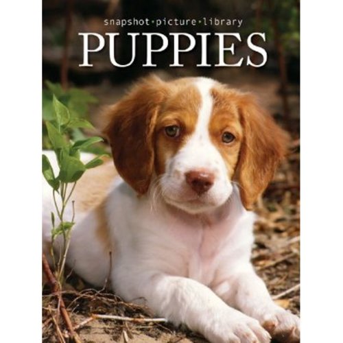 Pre-Owned Snapshot Picture Library Puppies by Sonia Vallabh (2007-01-01) Paperback
