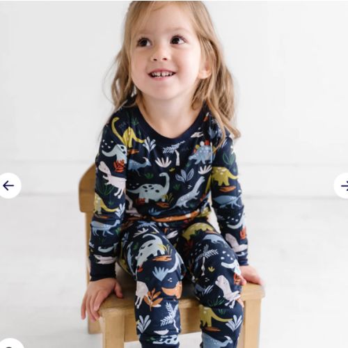 Navy Jurassic Jungle Two-Piece Pajama Set - Little Sleepies