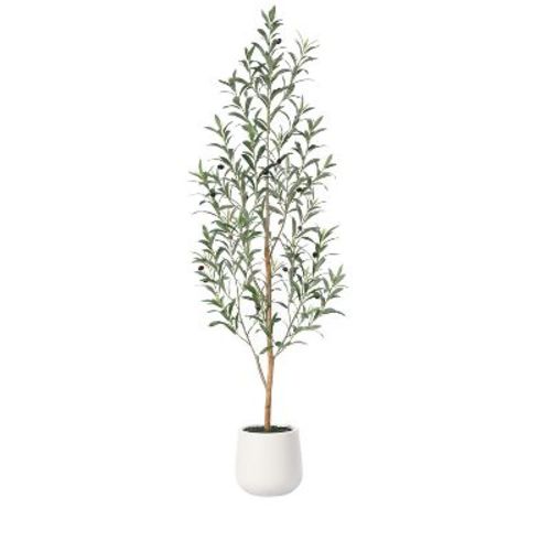 DR.Planzen Artificial Olive Tree with White Planter, 5FT Tall Faux Olive Trees with Natural Wood Trunk