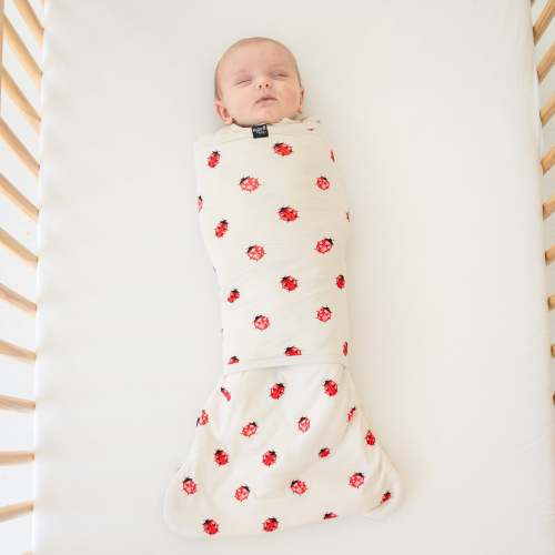 Sleep Bag Swaddler in Love Bug