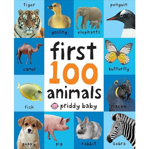 First 100 Animals Board book – Illustrated, May 10 2011