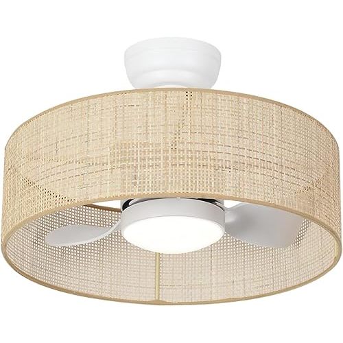 18W LED 20” Dimmable DC Drum Boho Caged Dimmable Ceiling Fan with Light Fixture,Fandelier with Remote Control, 3 Blades Small Cage Round Small Ceiling Fan for Indoor Room Kitchen Bedroom