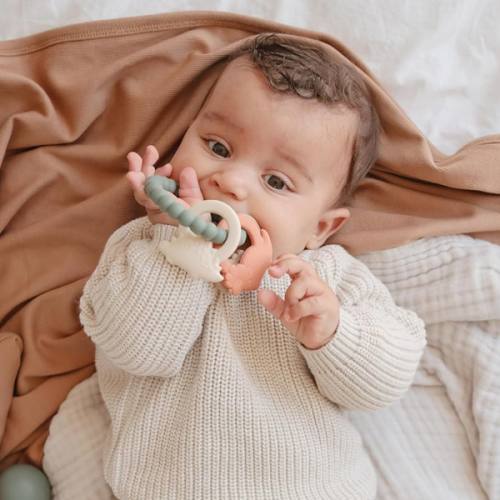 Silicone Nature Teething Ring Toy - nature