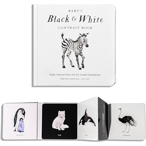 Baby's Black and White Contrast Book: High-Contrast Art for Visual Stimulation at Tummy Time (Our Little Adventures Series) Board book – Picture Book, August 1, 2023