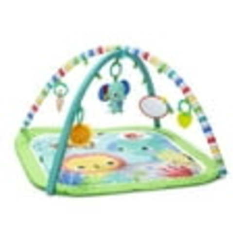 Bright Starts Wild Wiggles Activity Gym & Play Mat with Taggies, Newborn+ (Green)