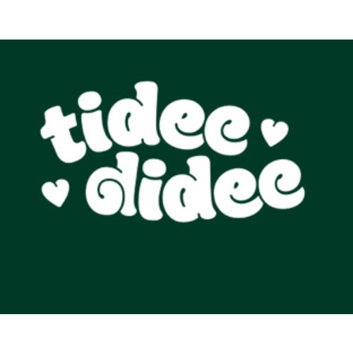 Tidee Didee cloth diaper service
