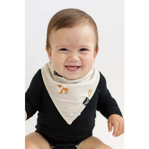 Bib in Fluffy Dog