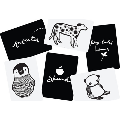 Black and White Art Cards for Baby - Wee Gallery | Maisonette