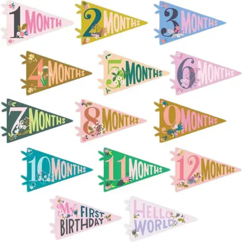 Little Artist Petit Milestone Pennant - Lucy Darling | Maisonette