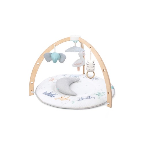 Play & Discover Baby Activity Gym