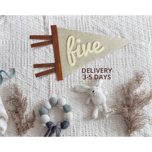 Baby milestone cards, Baby monthly milestone marker, Personalized pennant, Monthly milestones baby boy, Milistone pennant, Millistone card