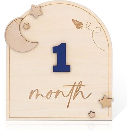Wooden 3D Baby Monthly Milestone Cards Monthly Milestone Discs Newborn Photography Props Baby Announcement Sign Baby (BBL1)