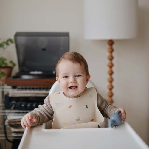 Silicone Baby Bib – Simple Steps Market