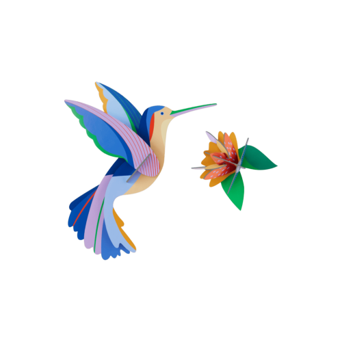Hummingbird - Studio ROOF
