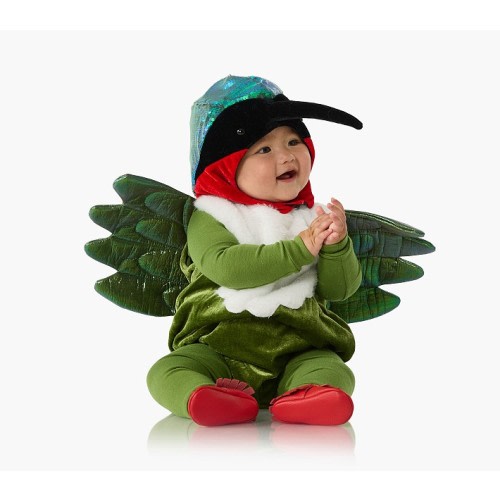 Baby Hummingbird Costume