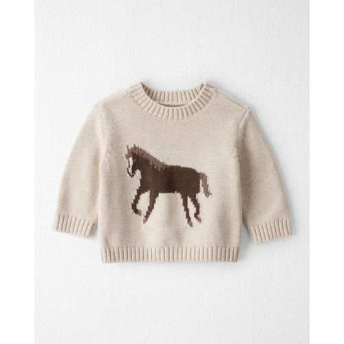GOTS Certified Organic Cotton Horse Sweater Knit Pullover - Little Planet