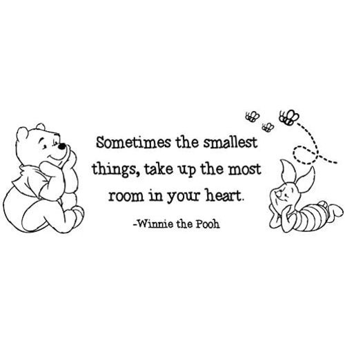 30"x12" Sometimes The Smallest Things Take Up The Most Room in Your Heart Winnie The Pooh Wall Decal Sticker Color Choices Wall Decal Sticker Art Mural Home Décor Quote