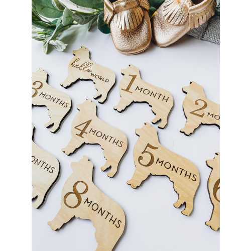 Dog Nursery Australian Shepherd Monthly Milestone Plaques | Baby Shower Gift | Custom Aussie Dog Newborn Baby Gift for Dog Nursery
