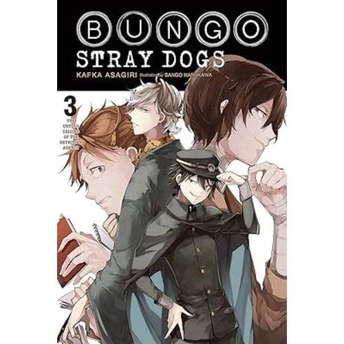 Bungo Stray Dogs, Vol. 3 (light novel): The Untold Origins of the Detective Agency (Volume 3) (Bungo Stray Dogs (light novel), 3)