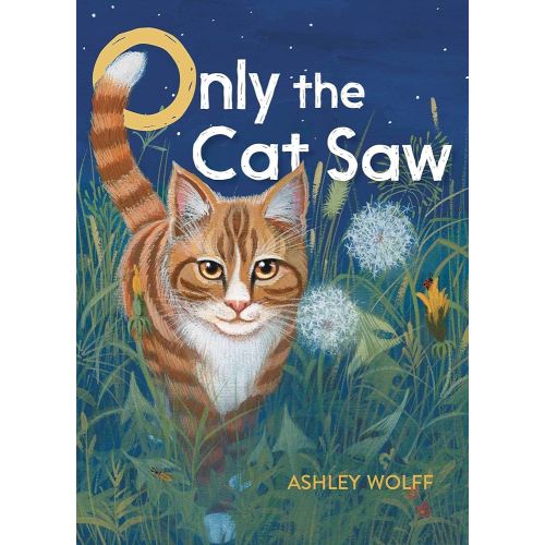 Only the Cat Saw