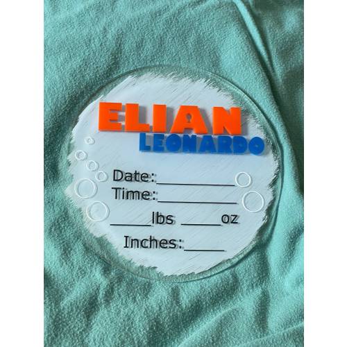 Nemo Dory inspired birth stat announcement photo prop