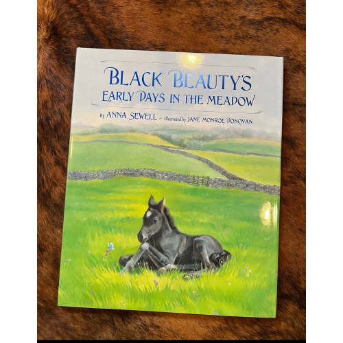 Black beauty’s early days in the meadow kids book