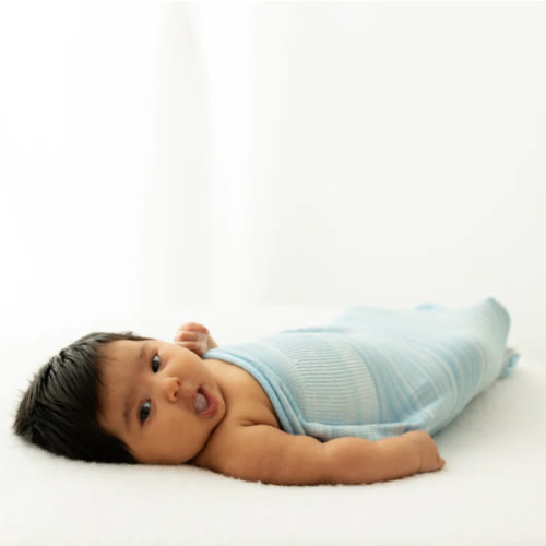 Blue Swaddle Sleep Sack – Swaddelini