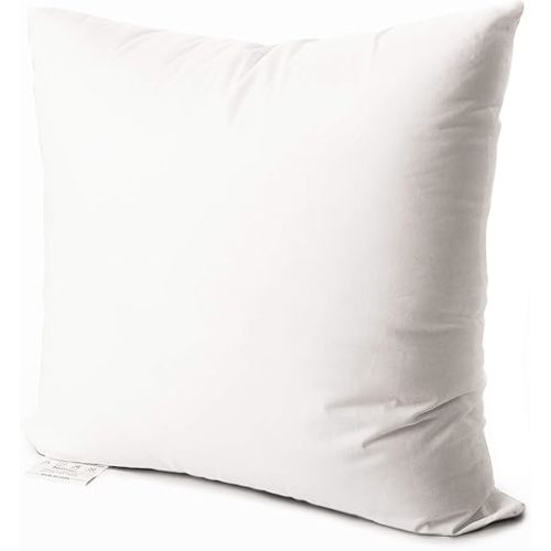 EDOW Luxury Throw Pillow Insert, Soft Fluffy Down Alternative Polyester Square Form Decorative Pillow Insert,Sham Stuffer,Cotton Cover for Sofa, Couch,Bed and Car. (White, 22x22)