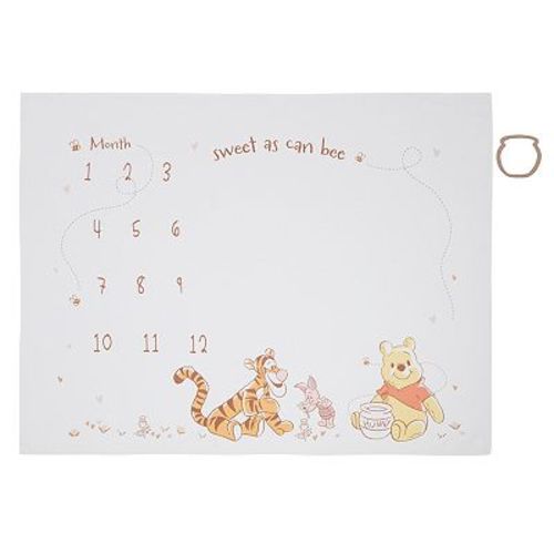 Disney's Winnie the Pooh Milestone Blanket