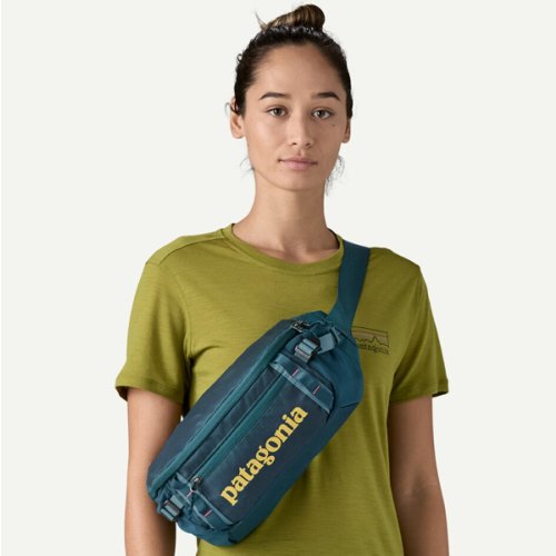 Patagonia Black Hole® Waist Pack 5L